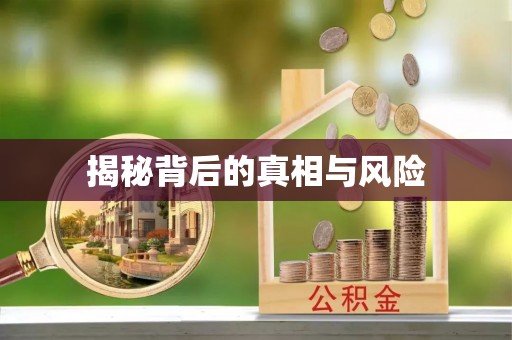 晋宁揭秘背后的真相与风险